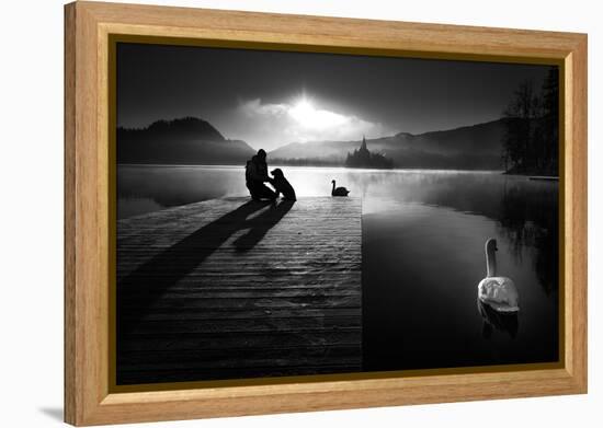 A peaceful morning at the lake-Sandi Bertoncelj-Framed Premier Image Canvas