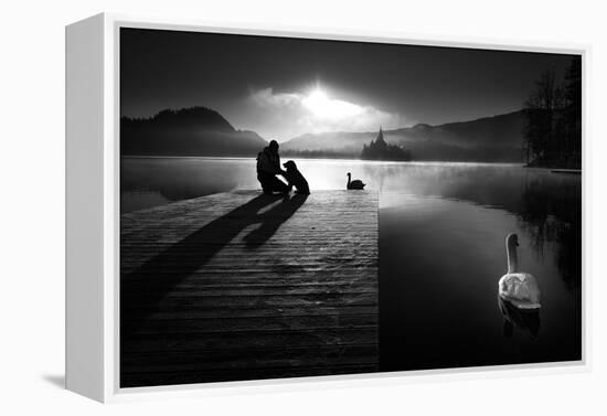 A peaceful morning at the lake-Sandi Bertoncelj-Framed Premier Image Canvas