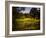 A Peaceful Rural Scene with Trees Lake, Green Grass and Blue Sky-Jody Miller-Framed Photographic Print