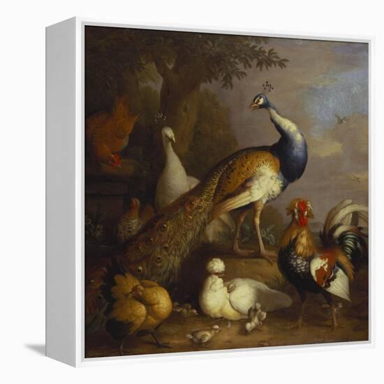 A Peacock, a Peahen and Poultry in a Landscape-Tobias Stranover-Framed Premier Image Canvas