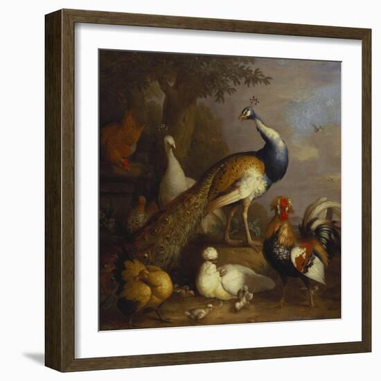 A Peacock, a Peahen and Poultry in a Landscape-Tobias Stranover-Framed Giclee Print