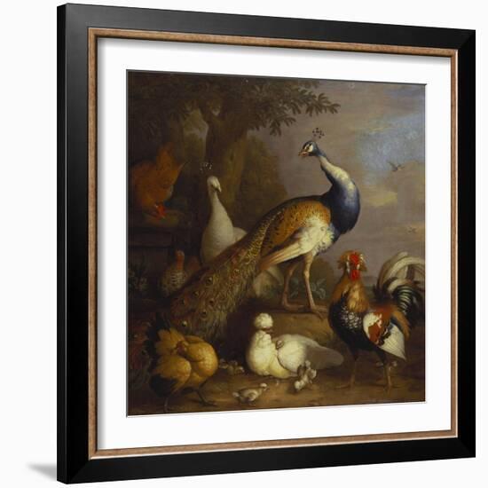 A Peacock, a Peahen and Poultry in a Landscape-Tobias Stranover-Framed Giclee Print