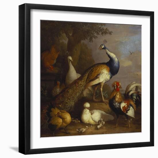 A Peacock, a Peahen and Poultry in a Landscape-Tobias Stranover-Framed Giclee Print