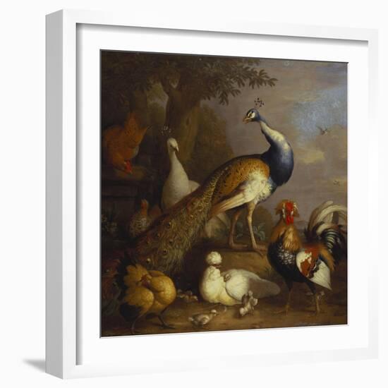 A Peacock, a Peahen and Poultry in a Landscape-Tobias Stranover-Framed Giclee Print