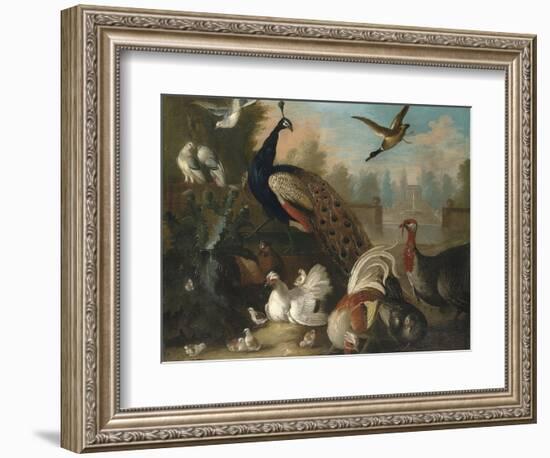 A Peacock and Other Birds in an Ornamental Landscape-Marmaduke Cradock-Framed Giclee Print