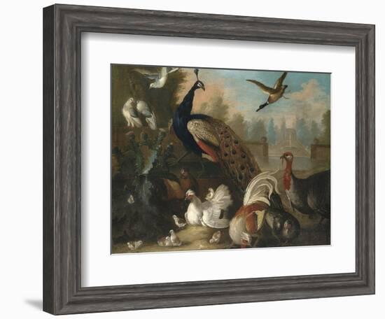 A Peacock and Other Birds in an Ornamental Landscape-Marmaduke Cradock-Framed Giclee Print