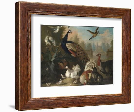 A Peacock and Other Birds in an Ornamental Landscape-Marmaduke Cradock-Framed Giclee Print