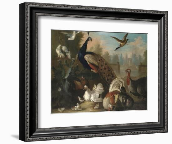 A Peacock and Other Birds in an Ornamental Landscape-Marmaduke Cradock-Framed Giclee Print