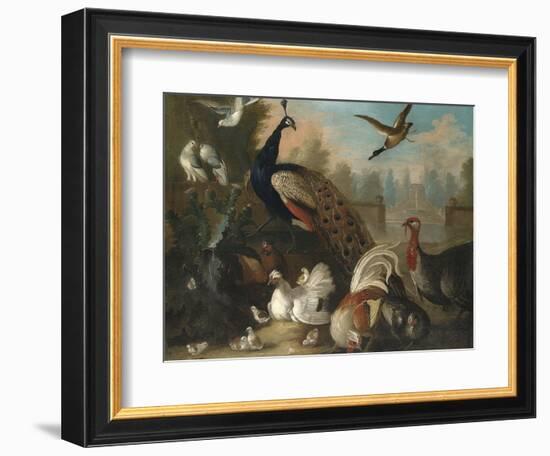 A Peacock and Other Birds in an Ornamental Landscape-Marmaduke Cradock-Framed Giclee Print