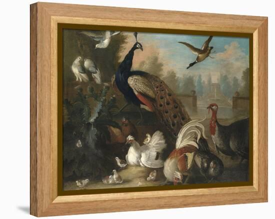 A Peacock and Other Birds in an Ornamental Landscape-Marmaduke Cradock-Framed Premier Image Canvas