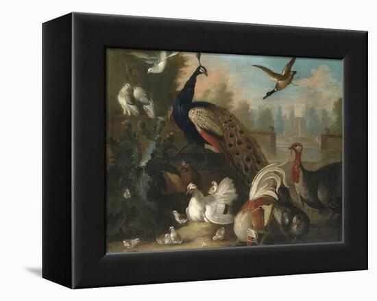 A Peacock and Other Birds in an Ornamental Landscape-Marmaduke Cradock-Framed Premier Image Canvas