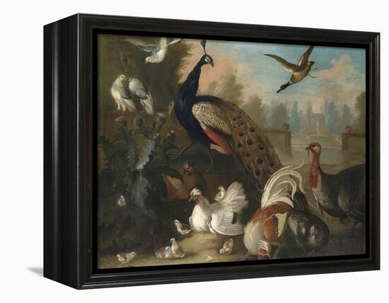 A Peacock and Other Birds in an Ornamental Landscape-Marmaduke Cradock-Framed Premier Image Canvas