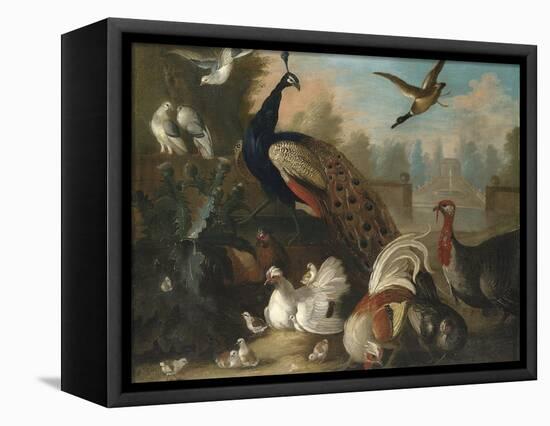 A Peacock and Other Birds in an Ornamental Landscape-Marmaduke Cradock-Framed Premier Image Canvas