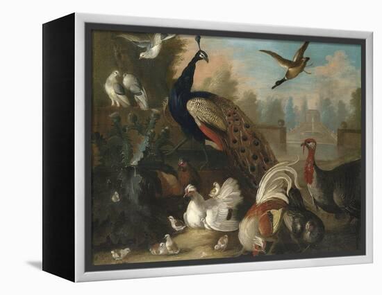 A Peacock and Other Birds in an Ornamental Landscape-Marmaduke Cradock-Framed Premier Image Canvas