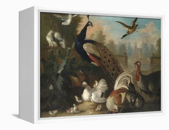 A Peacock and Other Birds in an Ornamental Landscape-Marmaduke Cradock-Framed Premier Image Canvas