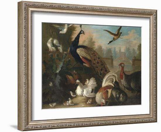 A Peacock and Other Birds in an Ornamental Landscape-Marmaduke Cradock-Framed Giclee Print