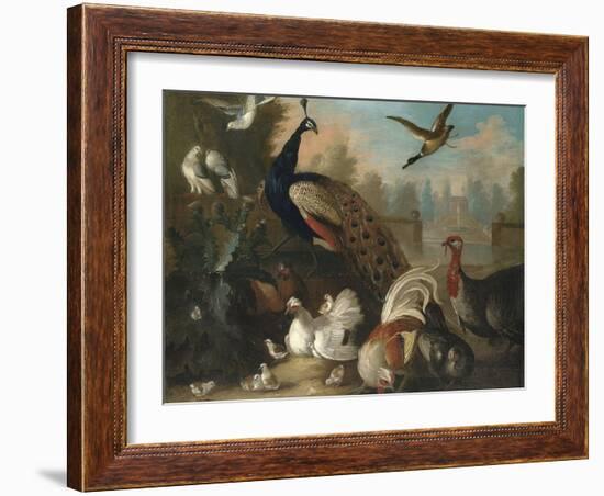 A Peacock and Other Birds in an Ornamental Landscape-Marmaduke Cradock-Framed Giclee Print