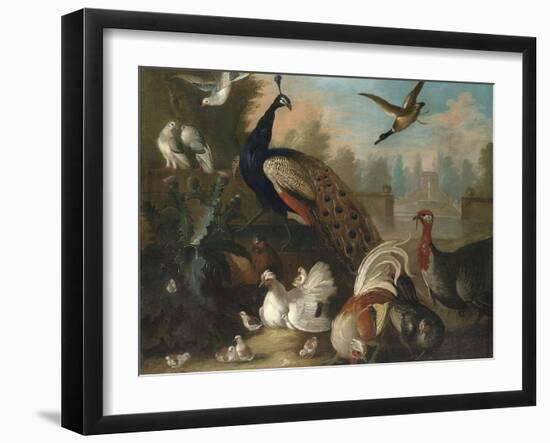 A Peacock and Other Birds in an Ornamental Landscape-Marmaduke Cradock-Framed Giclee Print