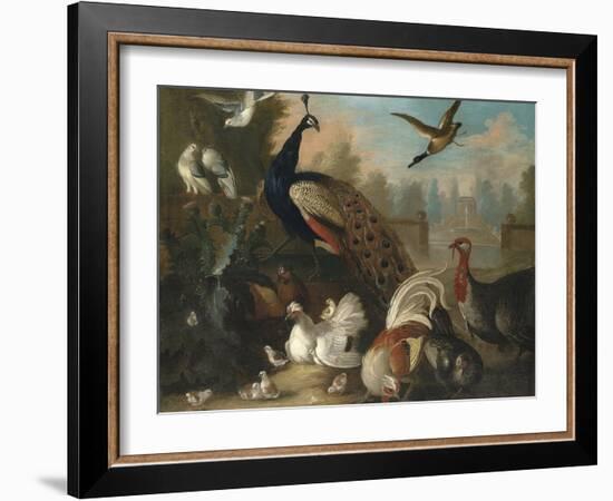 A Peacock and Other Birds in an Ornamental Landscape-Marmaduke Cradock-Framed Giclee Print