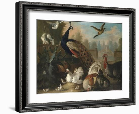 A Peacock and Other Birds in an Ornamental Landscape-Marmaduke Cradock-Framed Giclee Print