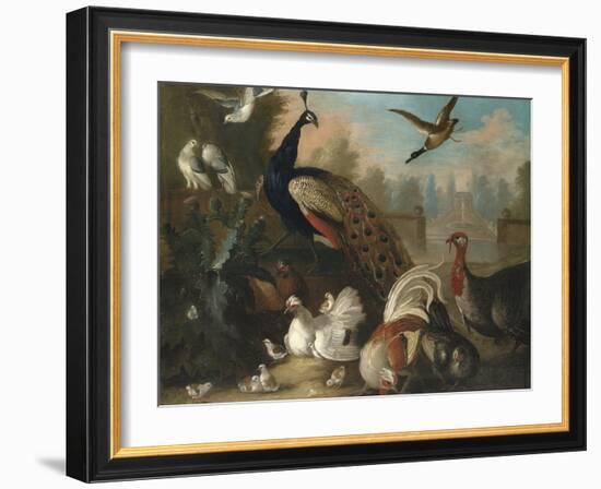 A Peacock and Other Birds in an Ornamental Landscape-Marmaduke Cradock-Framed Giclee Print