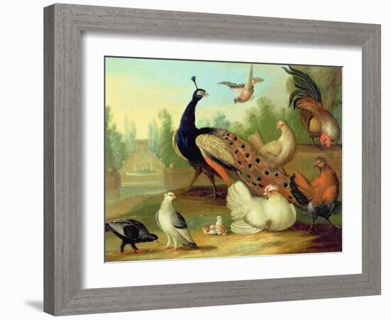 A Peacock, Doves, Chickens and a Jay in a Park-Marmaduke Cradock-Framed Giclee Print