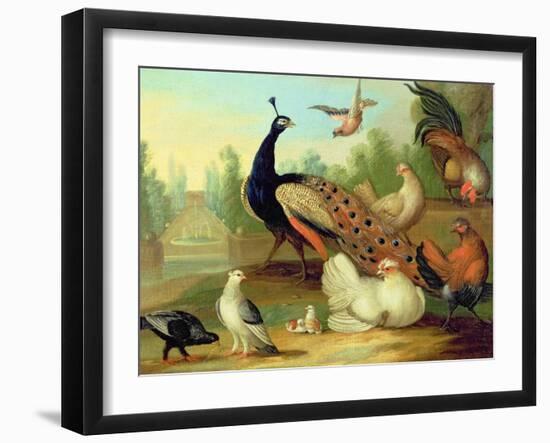 A Peacock, Doves, Chickens and a Jay in a Park-Marmaduke Cradock-Framed Giclee Print