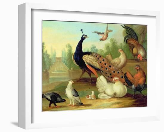 A Peacock, Doves, Chickens and a Jay in a Park-Marmaduke Cradock-Framed Giclee Print