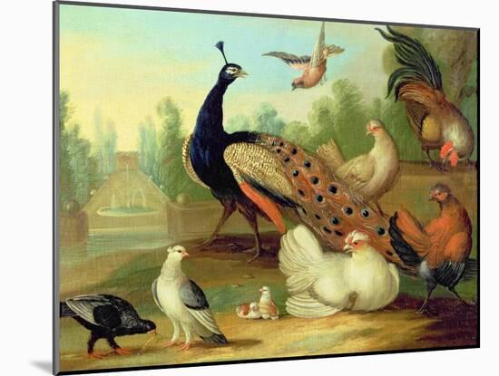 A Peacock, Doves, Chickens and a Jay in a Park-Marmaduke Cradock-Mounted Giclee Print