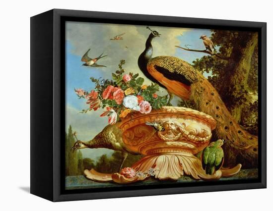 A Peacock on a Decorative Urn-Melchior de Hondecoeter-Framed Premier Image Canvas