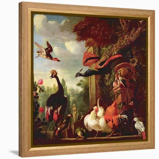 A Peacock, Peahen and Other Exotic Birds and Poultry on a Terrace-Melchior de Hondecoeter-Framed Premier Image Canvas