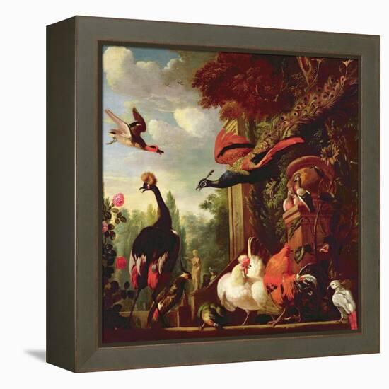 A Peacock, Peahen and Other Exotic Birds and Poultry on a Terrace-Melchior de Hondecoeter-Framed Premier Image Canvas