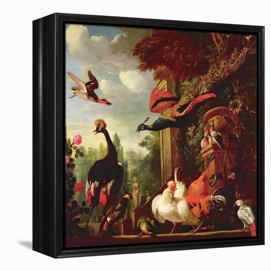 A Peacock, Peahen and Other Exotic Birds and Poultry on a Terrace-Melchior de Hondecoeter-Framed Premier Image Canvas