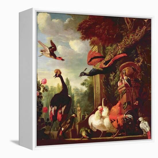 A Peacock, Peahen and Other Exotic Birds and Poultry on a Terrace-Melchior de Hondecoeter-Framed Premier Image Canvas