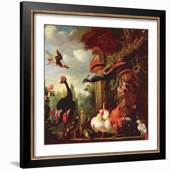 A Peacock, Peahen and Other Exotic Birds and Poultry on a Terrace-Melchior de Hondecoeter-Framed Giclee Print