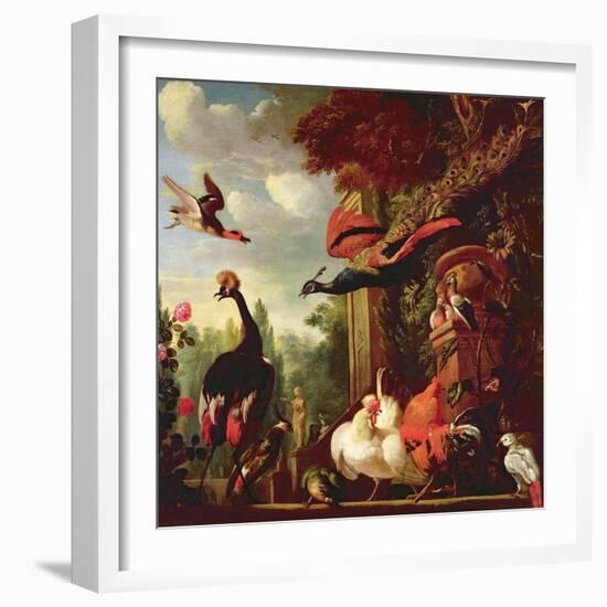 A Peacock, Peahen and Other Exotic Birds and Poultry on a Terrace-Melchior de Hondecoeter-Framed Giclee Print