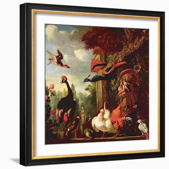 A Peacock, Peahen and Other Exotic Birds and Poultry on a Terrace-Melchior de Hondecoeter-Framed Giclee Print