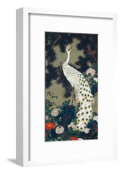 A Peacock, Pine and Peony-Jakuchu Ito-Framed Giclee Print