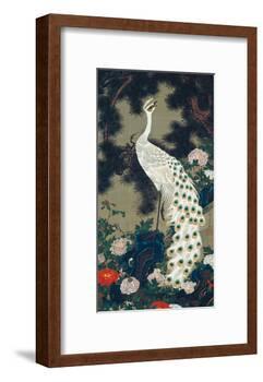 A Peacock, Pine and Peony-Jakuchu Ito-Framed Giclee Print