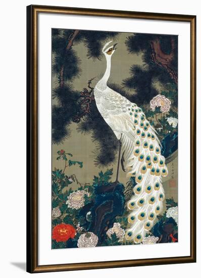 A Peacock, Pine and Peony-Jakuchu Ito-Framed Giclee Print