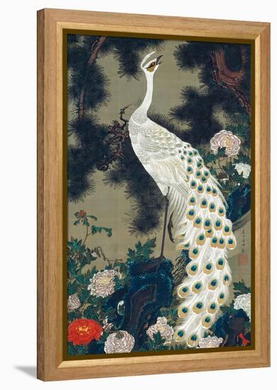 A Peacock, Pine and Peony-Jakuchu Ito-Framed Premier Image Canvas