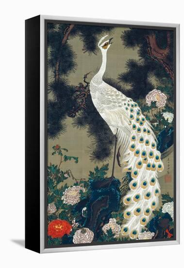 A Peacock, Pine and Peony-Jakuchu Ito-Framed Premier Image Canvas