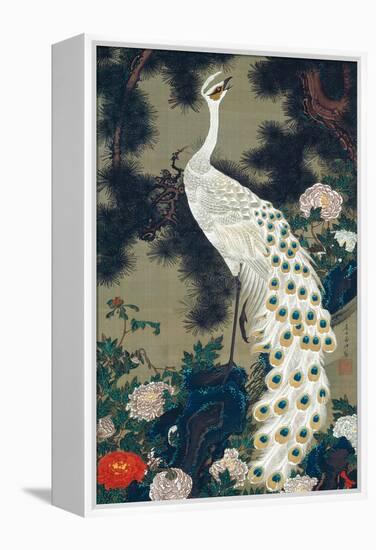 A Peacock, Pine and Peony-Jakuchu Ito-Framed Premier Image Canvas