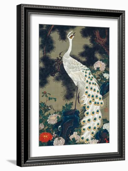 A Peacock, Pine and Peony-Jakuchu Ito-Framed Premium Giclee Print