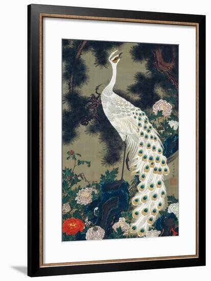 A Peacock, Pine and Peony-Jakuchu Ito-Framed Giclee Print