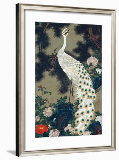 A Peacock, Pine and Peony-Jakuchu Ito-Framed Giclee Print