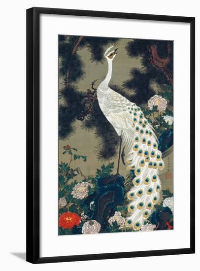 A Peacock, Pine and Peony-Jakuchu Ito-Framed Giclee Print