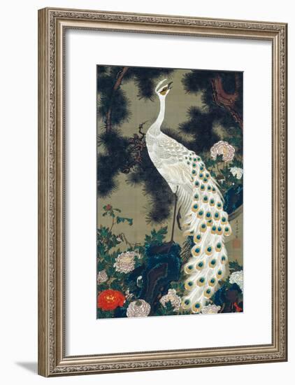 A Peacock, Pine and Peony-Jakuchu Ito-Framed Giclee Print