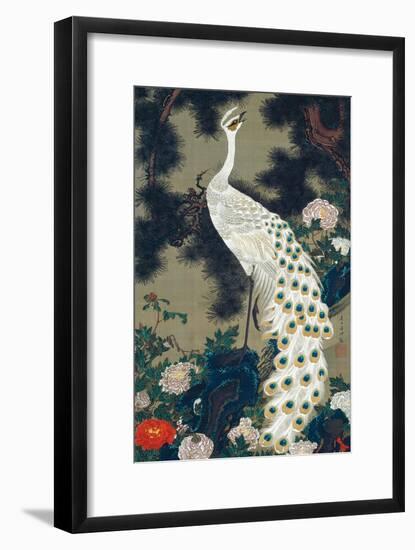 A Peacock, Pine and Peony-Jakuchu Ito-Framed Giclee Print