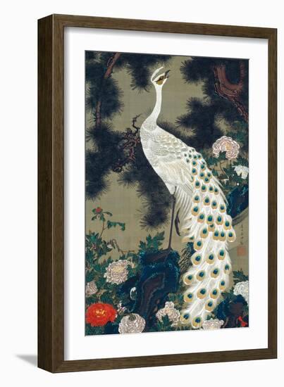 A Peacock, Pine and Peony-Jakuchu Ito-Framed Giclee Print